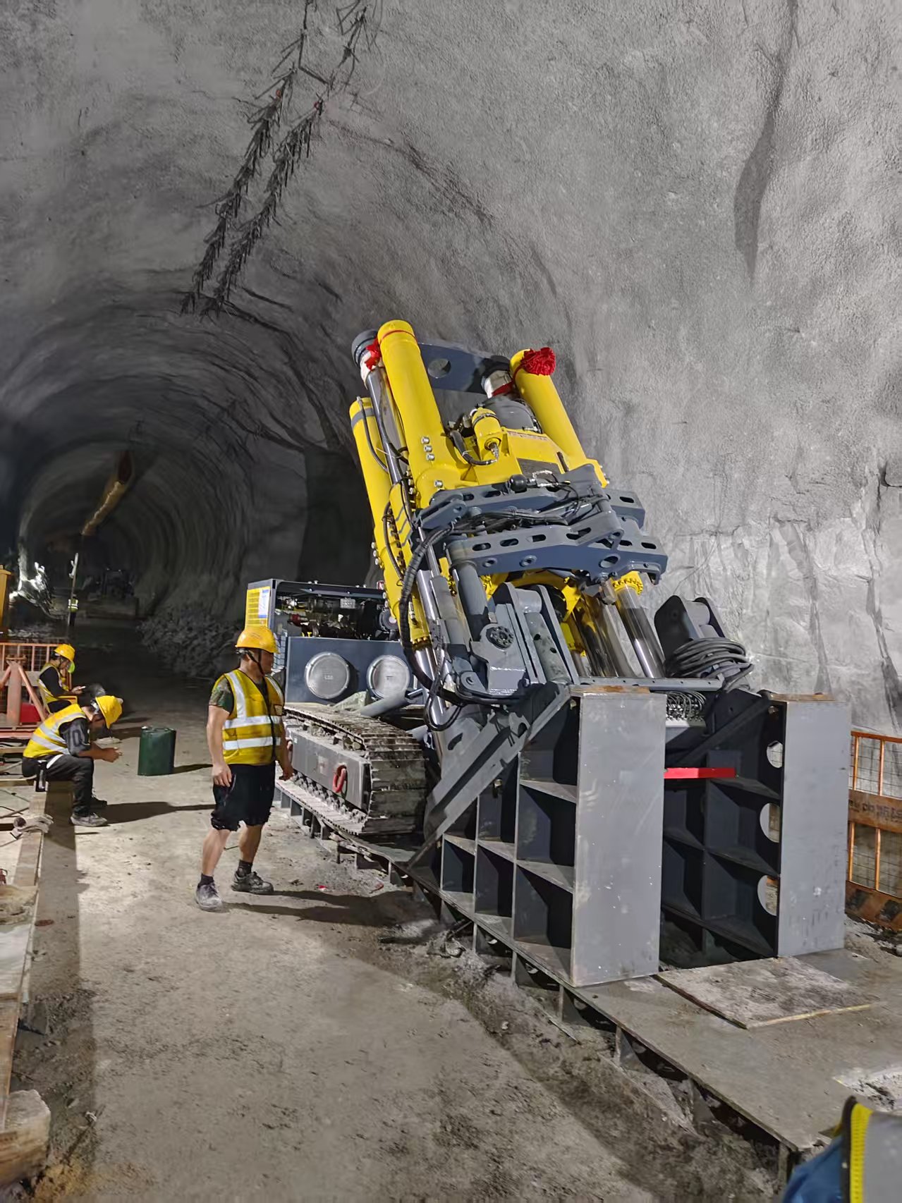 vsport体育平台app